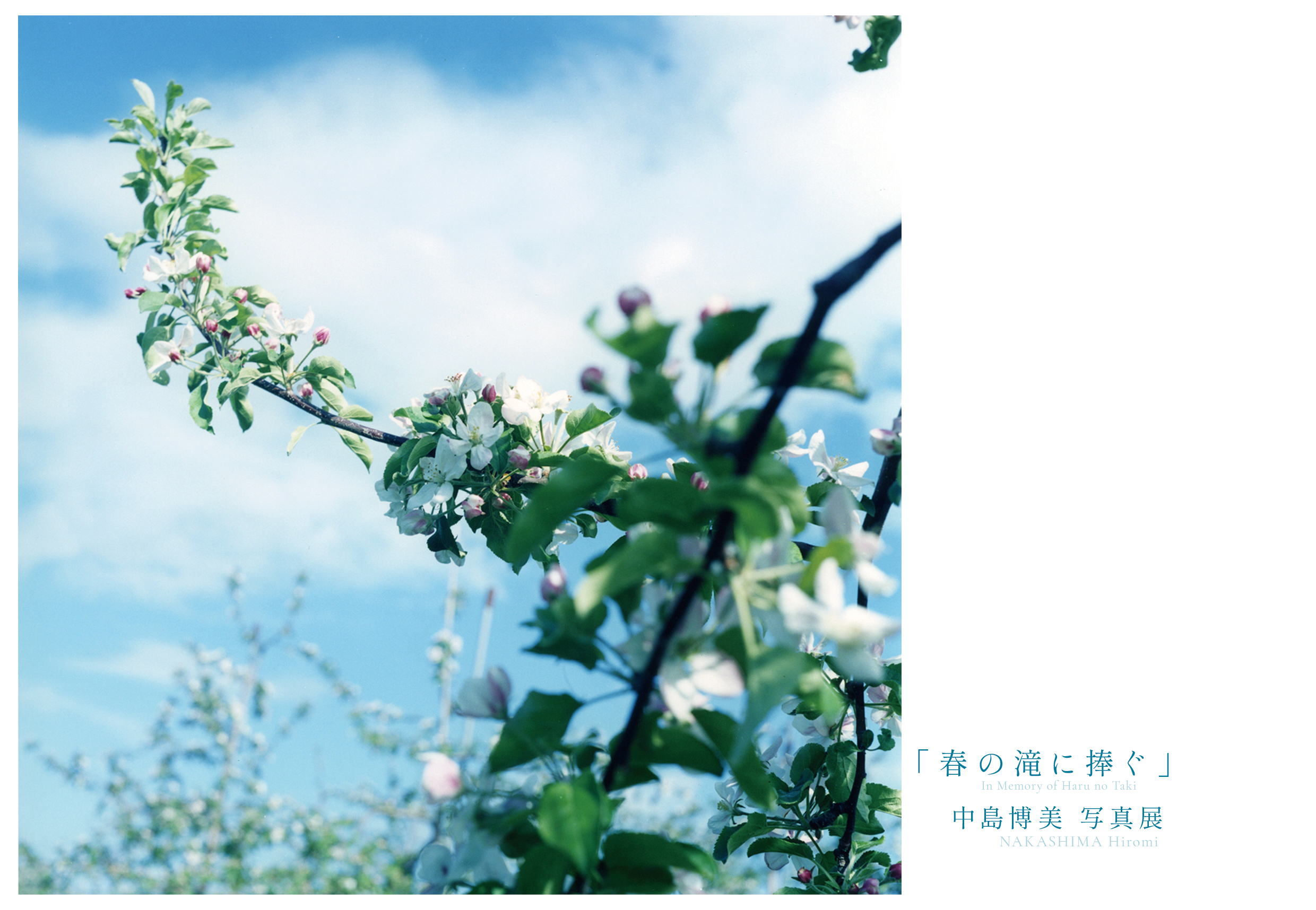 中島 博美 写真展